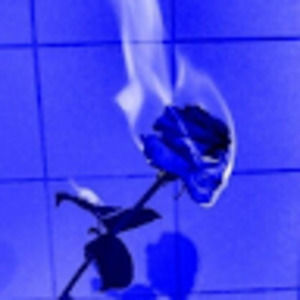 Meet your Posher, Mason